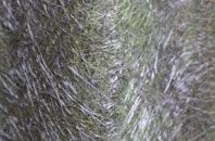 Helstone fibreglass roof work